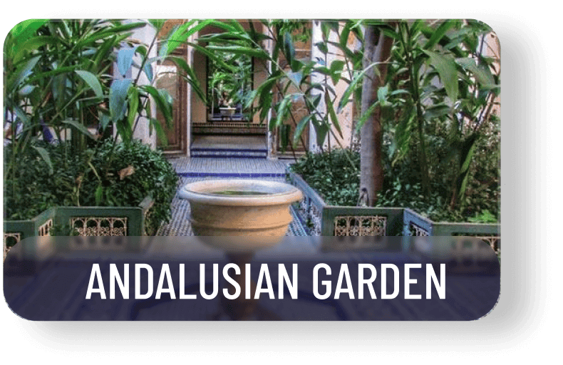 Andalusian Garden