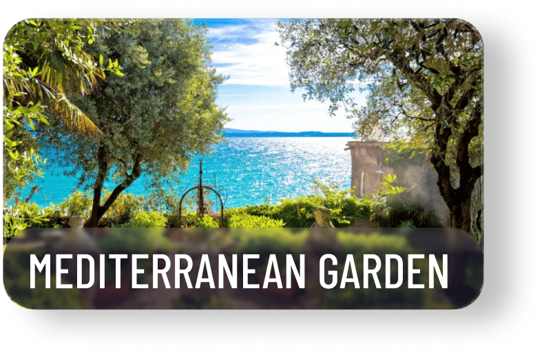 Mediteranean Garden